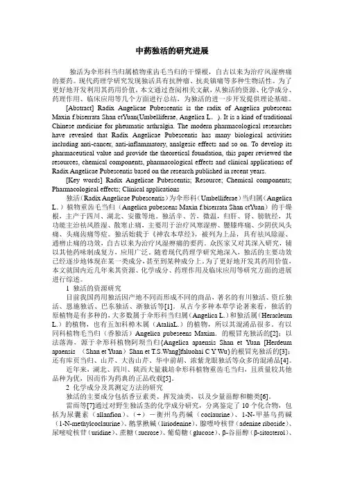中药独活的研究进展
