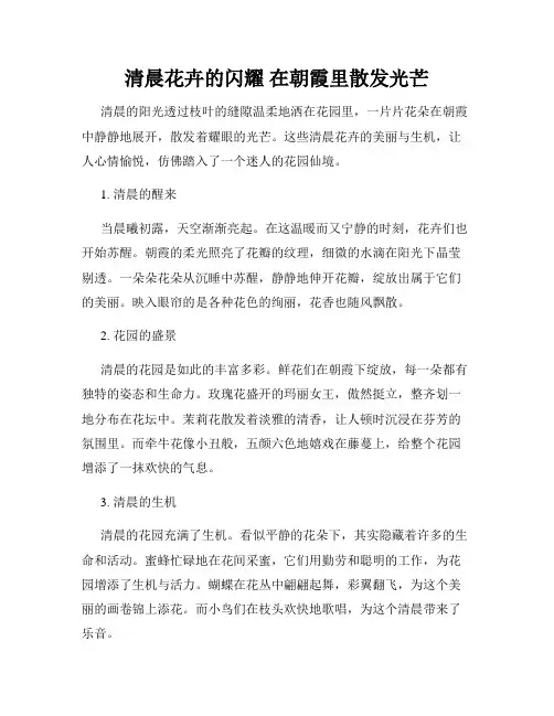 清晨花卉的闪耀 在朝霞里散发光芒