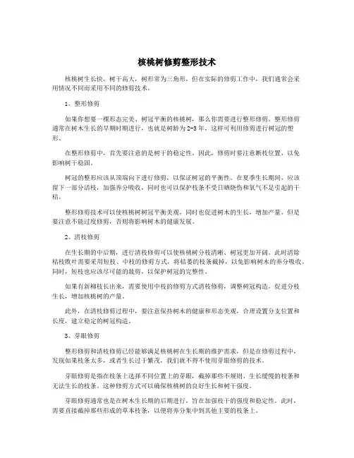 核桃树修剪整形技术