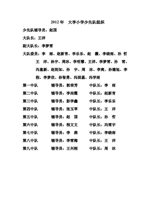 2012、2大李小学少先队组织