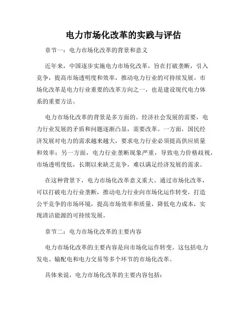 电力市场化改革的实践与评估