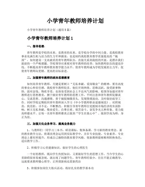 小学青年教师培养计划