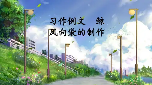 最新部编版五年级语文上册习作例文《鲸》《风向袋的制作》优质课件(共53张PPT)