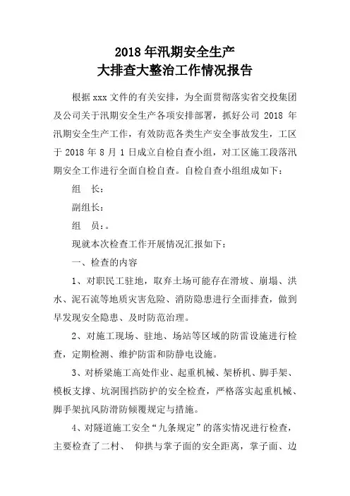 汛期安全生产大排查大整治行动报告
