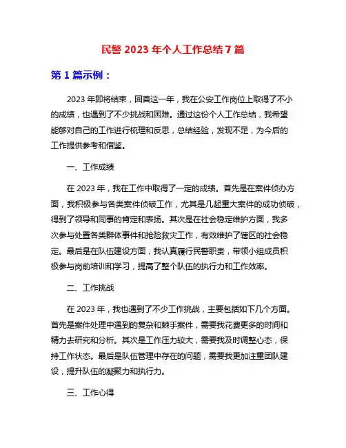 民警2023年个人工作总结7篇