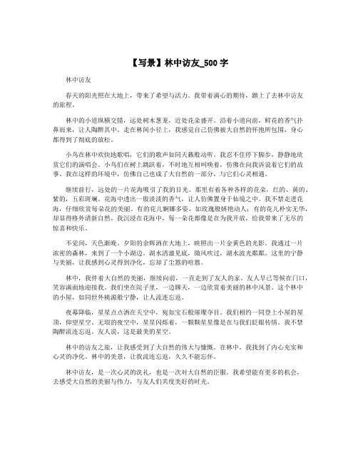 【写景】林中访友_500字