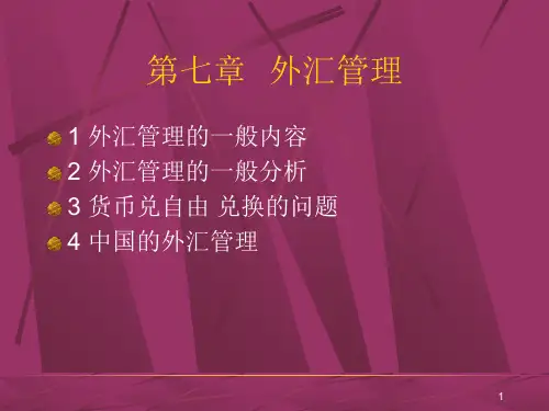 外汇管理ppt课件