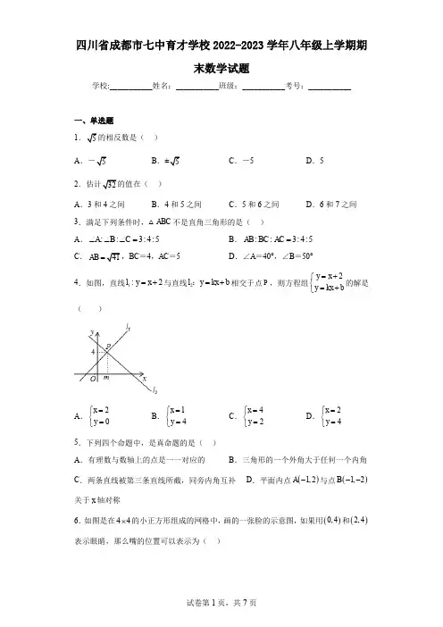四川省成都市七中育才学校2022-2023学年八年级上学期期末数学试题
