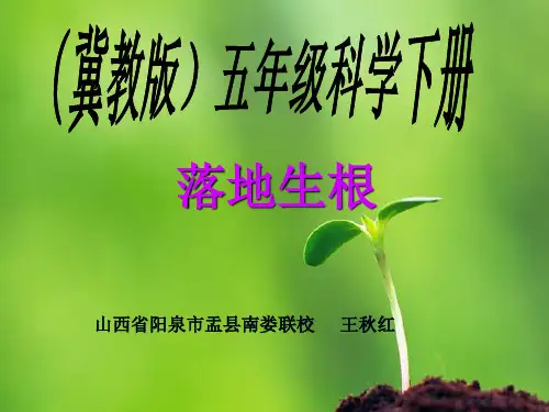 (五下)科学PPT课件 落地生根 冀教版 (18张)