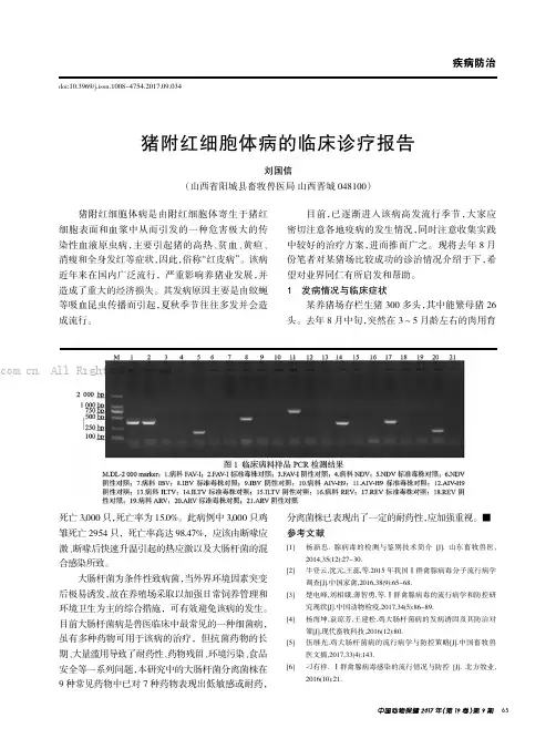猪附红细胞体病的临床诊疗报告