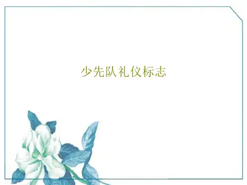 少先队礼仪标志47页PPT