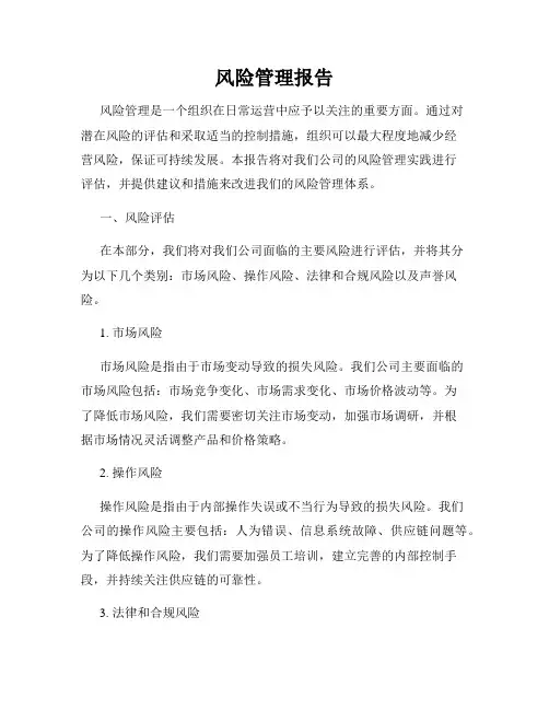 风险管理报告