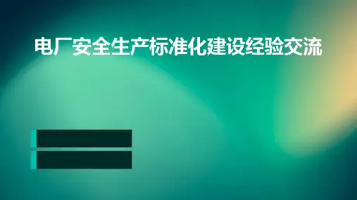 电厂安全生产标准化建设经验交流