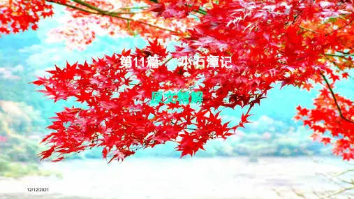 中考语文 专题复习四 文言文阅读 第11篇 小石潭记课件