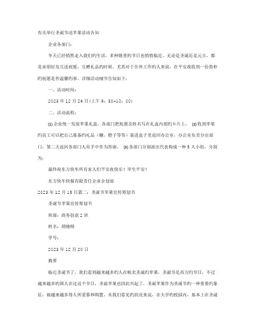 圣诞节苹果促销方案