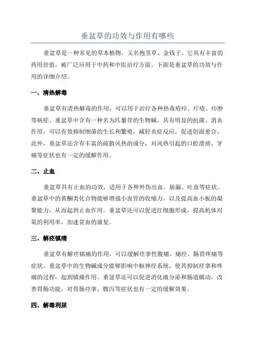 垂盆草的功效与作用有哪些