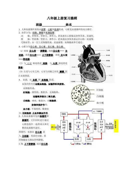 苏教版八年级上册生物复习提纲
