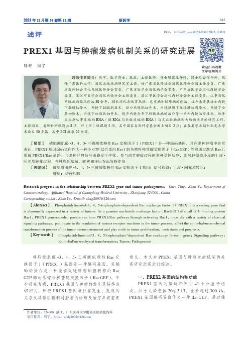 PREX1_基因与肿瘤发病机制关系的研究进展