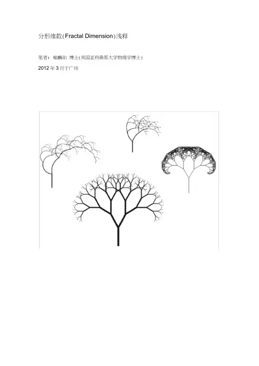 分形维数浅释