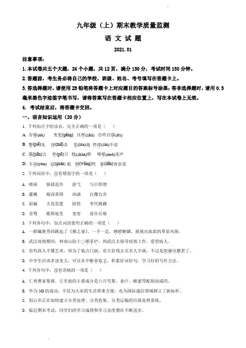 四川省宜宾市2020-2021学年九年级上学期语文期末试题(原卷版)