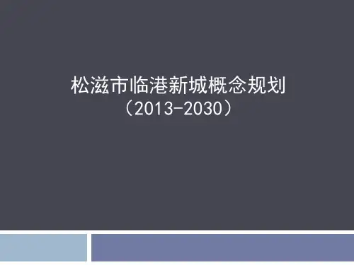 临港新城概念规划汇报稿