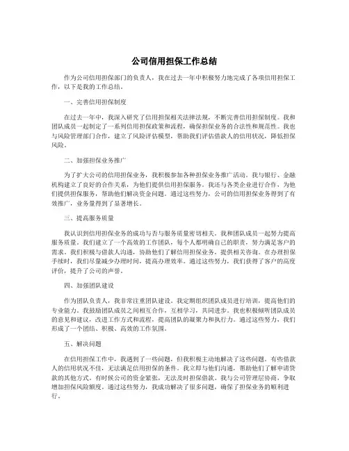 公司信用担保工作总结