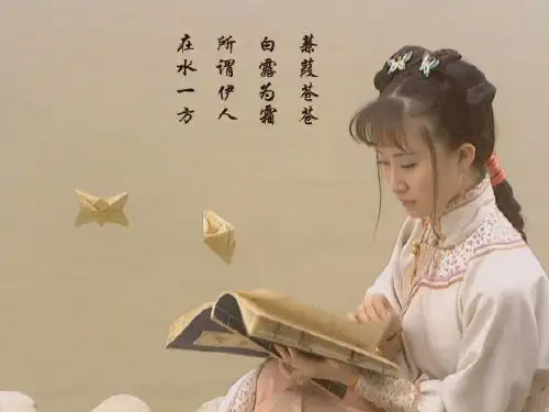 大学语文 蒹葭PPT课件