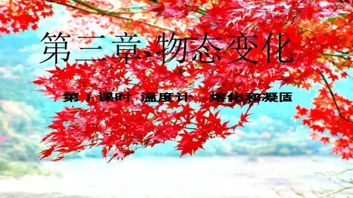 中考物理 第三章 物态变化 第1课时 温计 熔化和凝固复习课件
