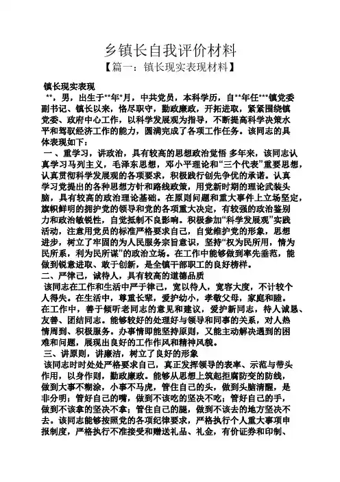 乡镇长自我评价材料