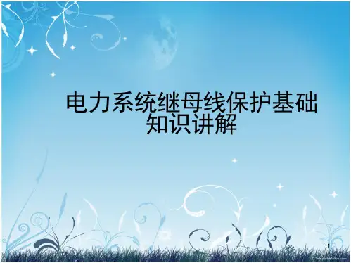 电力系统继母线保护基础知识讲解