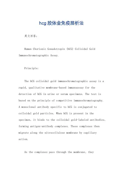 hcg胶体金免疫层析法