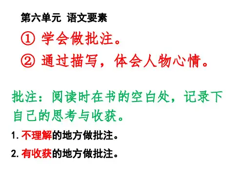 四年级上册语文第六单元复习课件(共25张PPT)