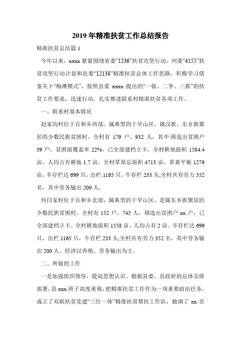 2019年精准扶贫工作总结报告.doc
