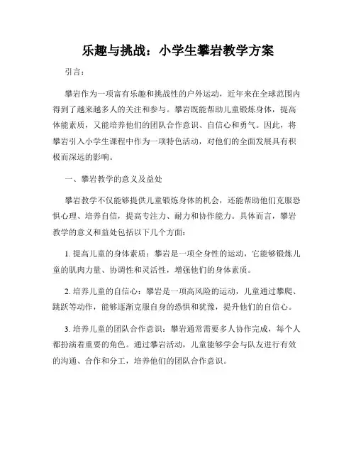 乐趣与挑战：小学生攀岩教学方案