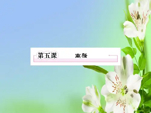 人教版高中语文必修二2.5离骚新(2)课件