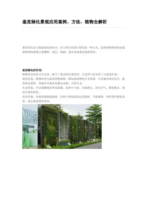 垂直绿化景观