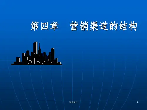 《营销渠道的结构》PPT课件