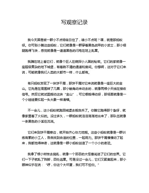 写观察记录