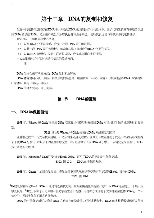 [王镜岩生物化学第三版笔记]第十三章 DNA的复制和修复