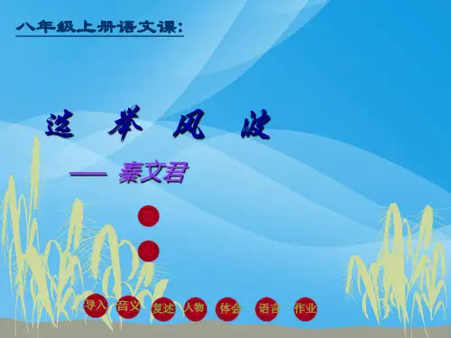 选举风波语文课件PPT