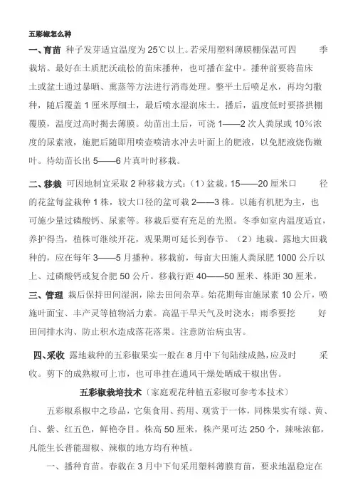 五彩椒怎么种