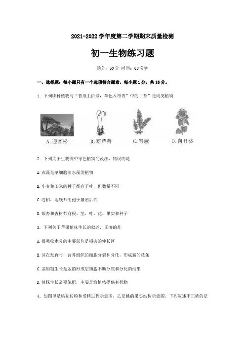 山东省泰安市高新区2021-2022学年六年级(五四制)下学期期末生物试题(word版含答案)