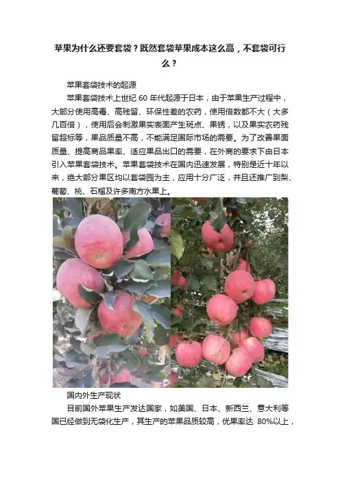 苹果为什么还要套袋？既然套袋苹果成本这么高，不套袋可行么？
