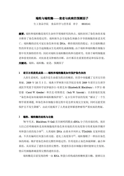 端粒与端粒酶——衰老与疾病的预测因子
