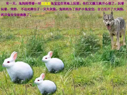 优质园幼儿园PPT课件-找朋友
