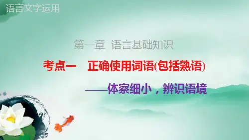 高考复习专题：正确使用词语(包括熟语)ppt课件(117页)