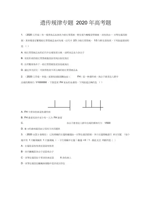 高中生物遗传规律专题2020年高考题汇总附答案
