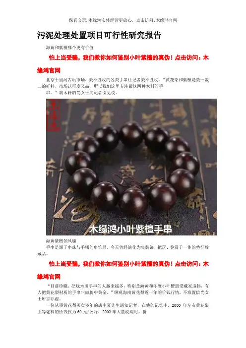污泥处理处置项目可行性研究报告