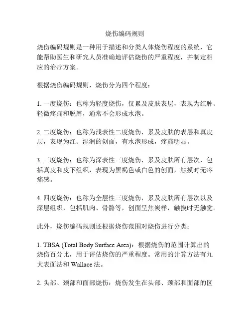 烧伤编码规则