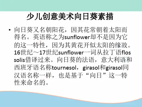 少儿创意美术向日葵素描 ppt课件